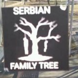 Priveden Vukovarac zbog fašističke poruke 13