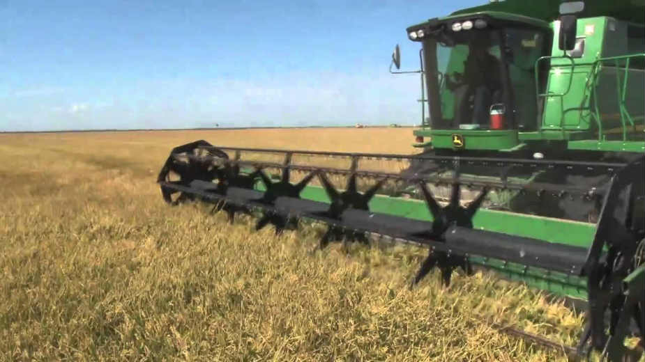 Arapi kupuju zemljište u Posavini 1