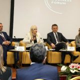 Ministri sa ružičastim naočarima 11