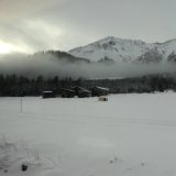 Davos (2): Putnikovi bliski susedi 3