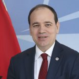 Bujar Nišani: Posetilac 5