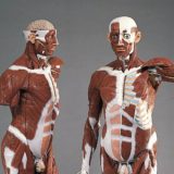 O pubertetu i zdravoj ishrani na časovima biologije 3