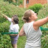 Više od pola miliona sezonaca radi na crno - krivi poslodavci 2
