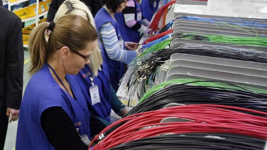 NSZ: Tri četvrtine radnika dobije otkaz kad isteknu subvencije 1