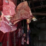 Nedimović: Stočarska proizvodnja raste 9