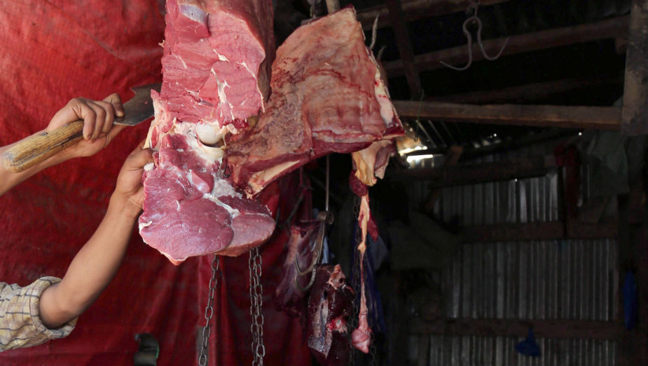 Nedimović: Stočarska proizvodnja raste 1