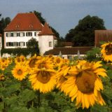 Koliko su važne slikovnice za detinjstvo 3