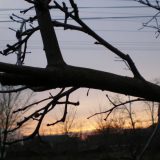 Banatsko Aranđelovo: Doživeti i čuti tišinu 1