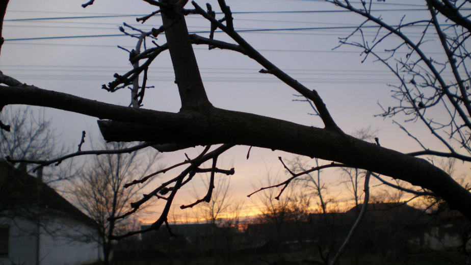 Banatsko Aranđelovo: Doživeti i čuti tišinu 1