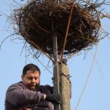 Gradištanci dočekuju rode 5