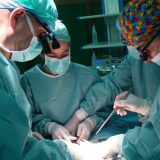 Urađena prva transplantacija testisa u Srbiji 1