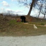 Građani Brđana ne žele groblje u komšiluku 2