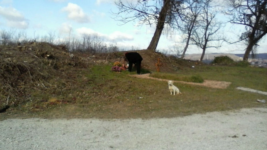 Građani Brđana ne žele groblje u komšiluku 1