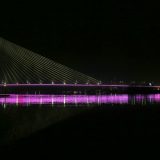 Svake godine u Srbiji oboli 4.000 žena 6