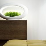 Grasslamp: Spoj tehnike i prirode 1