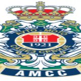 Zajedničko delovanje hitnih službi u saobraćaju 10