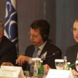 Na ratiština u Siriji i Iraku 28 državljana Srbije 6