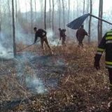 LSV: Nadležni da kažu šta je uzrok požara na Fruškoj gori 5