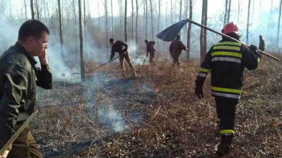 Hitno pronaći piromane na Fruškoj gori 1