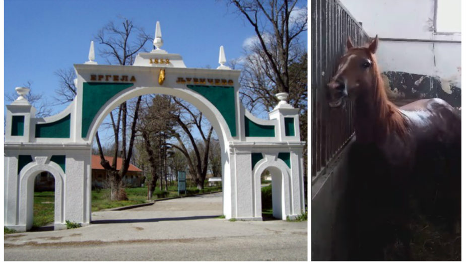 Nove mere protiv širenja krpeljskog encefalitisa 1 Nove mere protiv širenja krpeljskog encefalitisa 1