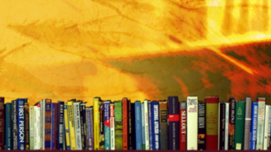 Biblioteka: Vanredni otpis oštećene građe 1