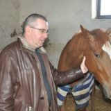 Sređuju ergelu i u vanrednoj situaciji 6