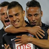 Pobeda Partizana u Lučanima 1