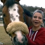 Pet Friendly: Kako se leče ljubimci 14