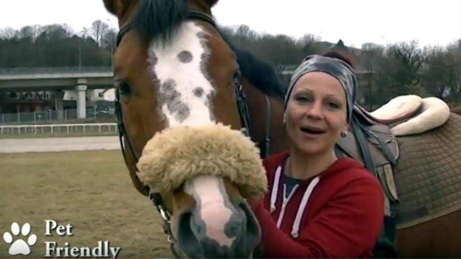 Pet Friendly: Kako se leče ljubimci 1 Pet Friendly: Kako se leče ljubimci 1
