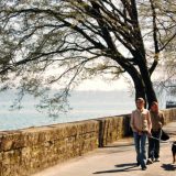 Danas stiglo proleće 14