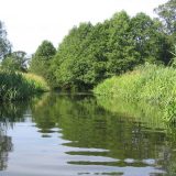 Vanredna situacija zbog poplava u Žitorađi, Doljevcu i Prokuplju 1