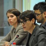 FHP: Odgovornost na generalu Dikoviću 1