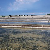 Organska proizvodnja put za male poljoprivredne zemlje 3