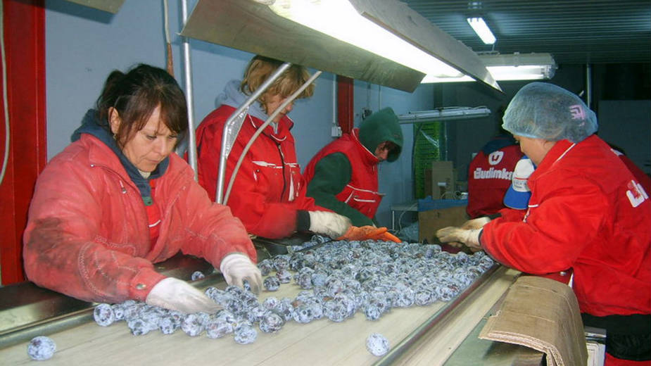 Sud krši zakon u slučaju Budimke 1 Sud krši zakon u slučaju Budimke 1