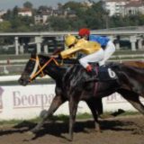 Građani tvrde niču zgrade na Hipodromu, Vesić kaže glupost 4