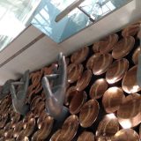 Nju Delhi: Snažan indijski identitet 10