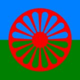 Nacionalni savet romske nacionalne manjine: Diskriminacija Roma u Smederevskoj Palanci 11
