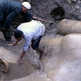 U Sakari otkrivena grobnica iz perioda Pete dinastije 6