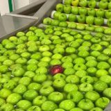 Jabu/č(el)ar(evo): Svemirski brod kraj Dunava 3