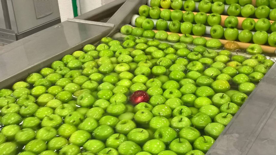 Jabu/č(el)ar(evo): Svemirski brod kraj Dunava 1