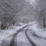 Sneg napravio štetu na voću u Ljuboviji i Krupnju 14
