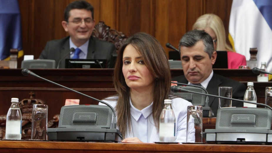 Izjašnjavanje do jula o delu Ustava o pravosuđu 1