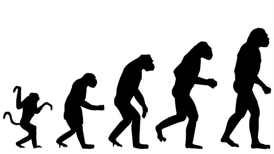 Sve naučnije od naučnijeg 1