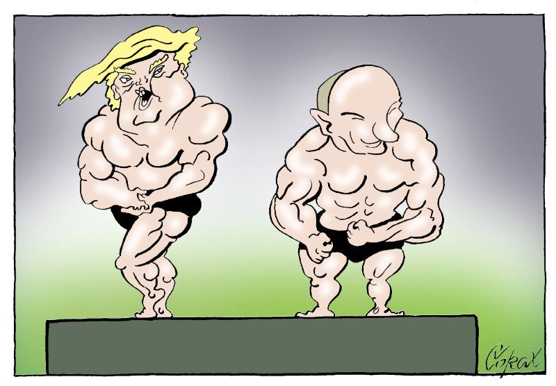 Corax 8