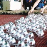 Dve struje naprednjaka u borbi za paraćinsku fabriku 1