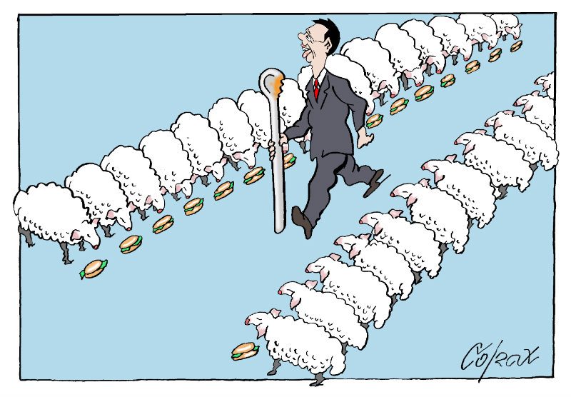 Corax 15