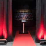 Virtuelni dirigent u Beču 11