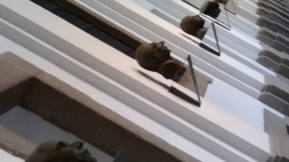 Madrid: Osamdeset godina Gernike 1 Madrid: Osamdeset godina Gernike 1