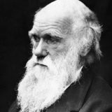 Akademik Antonije Đorđević povukao potpis sa peticije 1