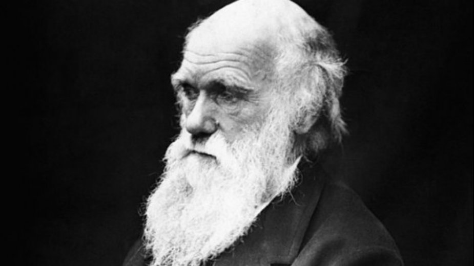 Akademik Antonije Đorđević povukao potpis sa peticije 1 Akademik Antonije Đorđević povukao potpis sa peticije 1